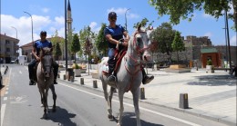 Riva Atlı Zabıtalara Emanet