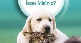  BEYKOZ’UN SEVİMLİ CAN DOSTLARI PROJESİ BAŞLADI