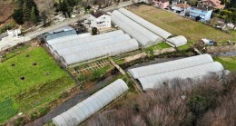 TATSOİ’DEN MİZUNA’YA BEYKOZ’DA BİR DÜNYA BAHÇESİ