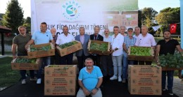 Beykozlu Çiftçiye 400 Bin Kışlık Fide Desteği 