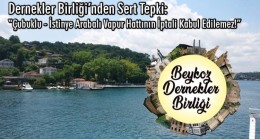 Dernekler Birliği’nden Sert Tepki: “Çubuklu–İstinye Arabalı Vapur Hattının İptali Kabul Edilemez!”