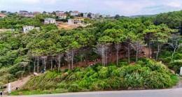 Beykoz’da Orman Yangınlarına Karşı Ortak Mücadele