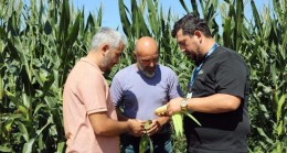 Beykoz’un Bereketli Topraklarından Üreticilere ve Hayvancılığa Destek