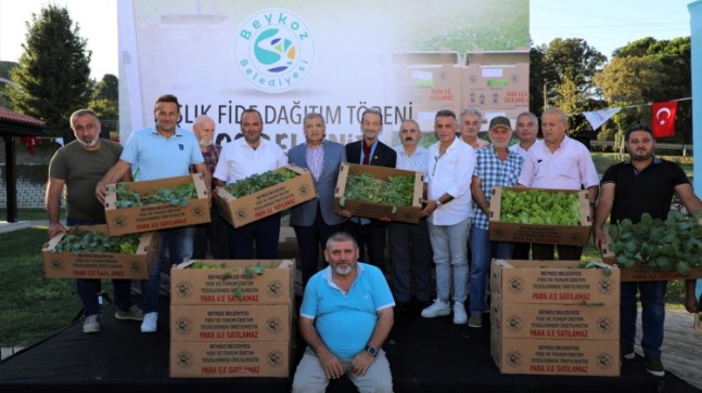 Beykozlu Çiftçiye 400 Bin Kışlık Fide Desteği 