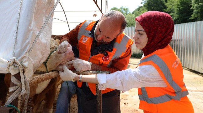 Beykoz’da Kurban Kesim Yerleri Denetim Altında