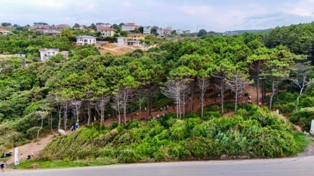 Beykoz’da Orman Yangınlarına Karşı Ortak Mücadele