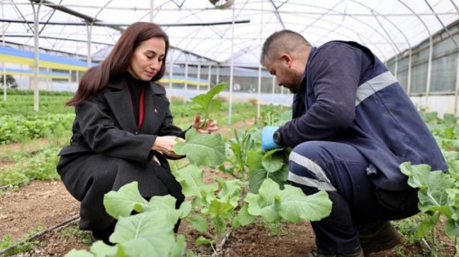 Beykoz’da Toprağın Bereketi Sofralara Taşınıyor