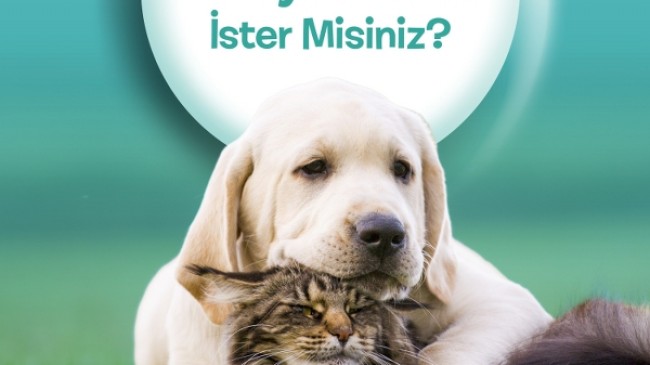  BEYKOZ’UN SEVİMLİ CAN DOSTLARI PROJESİ BAŞLADI
