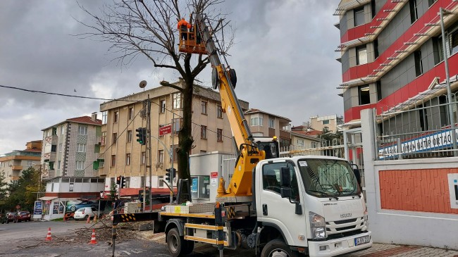 Beykoz’da Budama Mevsimi