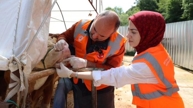 Beykoz’da Kurban Kesim Yerleri Denetim Altında