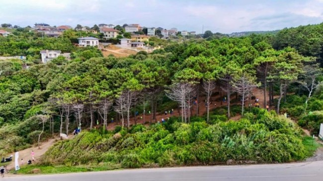 Beykoz’da Orman Yangınlarına Karşı Ortak Mücadele