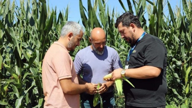Beykoz’un Bereketli Topraklarından Üreticilere ve Hayvancılığa Destek